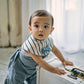 dolce green stripe