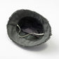 brim infant olive