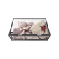 teppan box SSP1