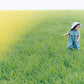 pofu 2 grass 80cm