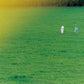 suton 2 grass 100cm