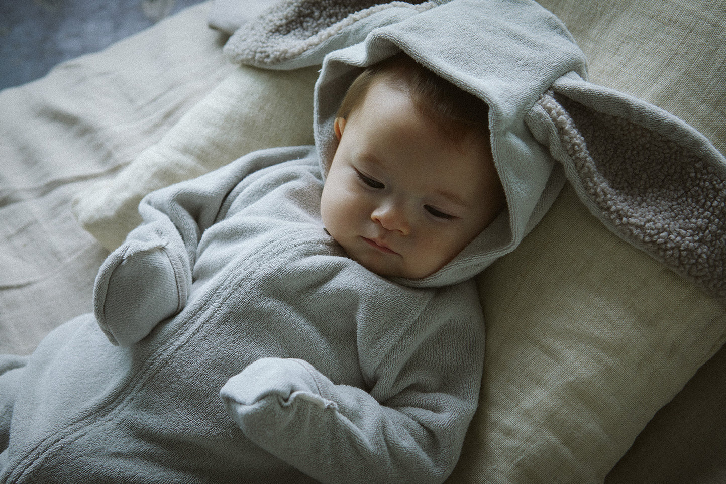 lullaby 3 bear milk